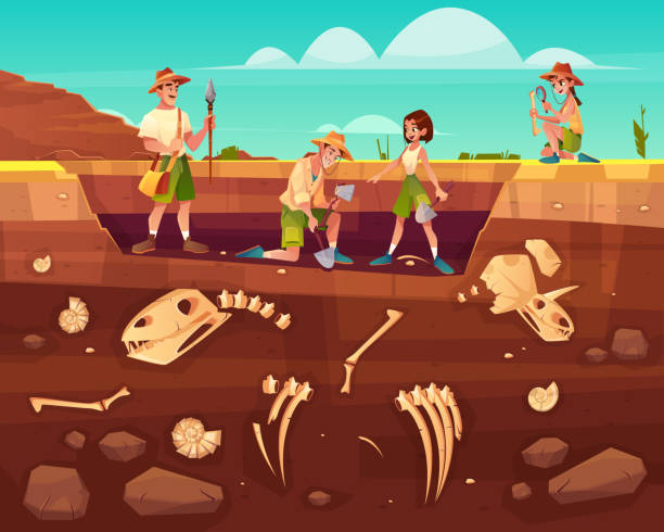 VOL 6 Test 6 - Taking part in archaeological excavations